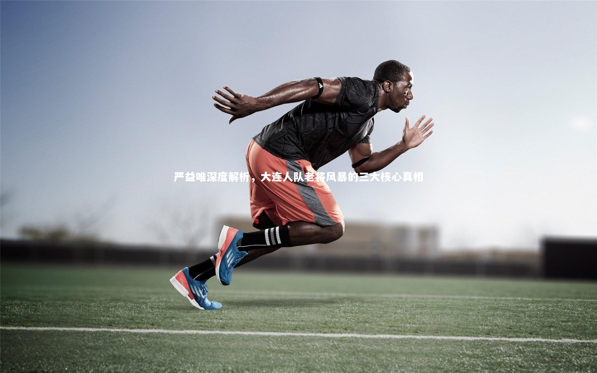 球速直播-严益唯深度解析，大连人队老将风暴的三大核心真相